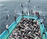 جامعة أسوان توقع بروتوكول تعاون في مجال مصايد الأسماك مع «أفيرو البرتغالية»