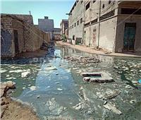 صور| مياه الصرف والقمامة تُعيق وصول الطلبة لمدرسة في الإسكندرية