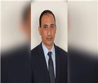 برلماني: الموانئ الخضراء تؤكد رغبة الإرادة المصرية في الحفاظ على البيئة