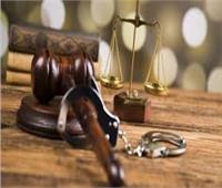 «الجنايات» تجدد حبس 4 متهمين في «خلية الأمل»
