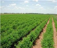 «الإصلاح الزراعي» تطرح أراضي للبيع بـ 4 محافظات