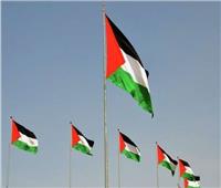 الخارجية الفلسطينية: الصمت الدولي على جرائم الاحتلال يهدد بتقويض العدالة الدولية
