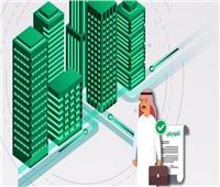 ما الذي يقدمه «التفويض الإلكتروني» الجديد للسعوديين؟   