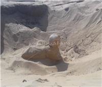 وزارة الآثار: العثور على تمثال ملكي على هيئة أبو الهول بتونا الجبل