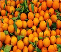 بشرى سارة من «الزراعة» لمصدري البرتقال المصري
