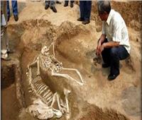 اكتشاف قبر لزوج أميرة عمره 1300 عام