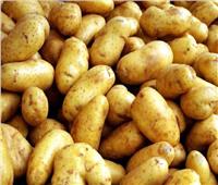 الحكومة تنفي استخدام مبيدات ومواد كيماوية ضارة في تخزين تقاوي البطاطس