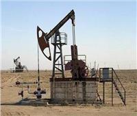 حصاد 2019| خفض مستحقات الشركاء الأجانب في البحث عن البترول إلى 900 مليون دولار