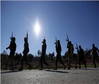 رويترز: تركيا تدرس إرسال مقاتلين سوريين إلى ليبيا