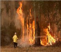 آلاف الأستراليين يفرون إلى الشواطئ هربا من حرائق الغابات