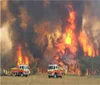 سلطات ولاية "نيو ساوث ويلز" الاسترالية تعلن حالة الطواريء جراء الحرائق