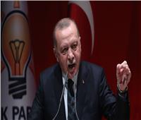 كاتب أمريكي: سلاح الجو التركي يضع «أردوغان» في ورطة