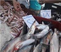 أسعار الأسماك في سوق العبور اليوم ١٤ يناير