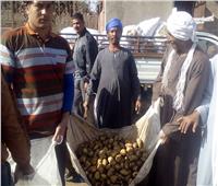 بالصور| «البرجاية»قرية تصدير البطاطس لأوروربا.. والمزارعون:«التجار سبب السوق السوداء»