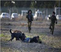إطلاق كلب بوليسي ضد معتقل فلسطيني قاصر