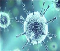 وزير الصحة الباكستاني ينفي ما تردد حول تفشي فيروس «كورونا» في البلاد