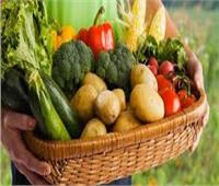 بعد موافقة النواب ..ننشر كل ما يخص «الزراعة العضوية» في إنتاج غذاء صحي