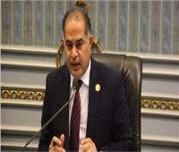 وكيل النواب: موقف مصر ثابت في دعم القضية الفلسطينية‎