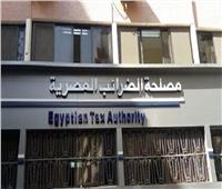«تقييم المخاطر الضريبية وإدارتها» في ورشة عمل لمصلحة الضرائب المصرية