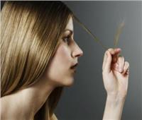 نصائح لمنع تكسر الشعر .. وماسك طبيعي للعلاج