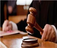 تأجيل محاكمة 215 متهمًا بـ«كتائب حلوان» للغد