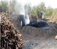 شرطة البيئة تضبط 18 «مكمورة» فحم في حملات أمنية