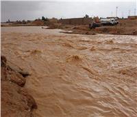 لتلافي أخطار السيول.. إنشاء سدود وبحيرات صناعية لحماية مدينة نخل بسيناء