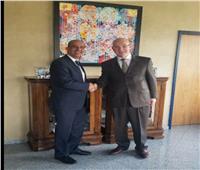 سفير مصر في أثيوبيا يلتقي مفوض الاتحاد الإفريقي للسلم