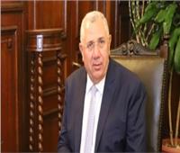 وزير الزراعة يكشف تأثير «جراد شرق إفريقيا» على مصر 