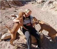 نيابة جنوب سيناء تنتظر تقرير الطب الشرعي لتسليم مزرعة الكلاب لدهب