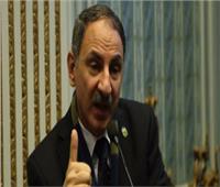 برلماني: 100 مليون مصري يقفون خلف القيادة السياسية للحفاظ على الأمن القومي‎