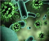 وزارة الصحة الجزائرية: لا إصابات جديدة بفيروس كورونا