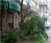 منخفض التنين| الأشجار والمياه تغلق شارع محمد الخلفاوي بشبرا