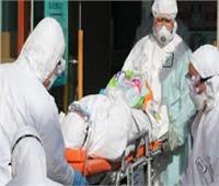 هولندا : 30 حالة وفاة و637 إصابة جديدة بفيروس كورونا