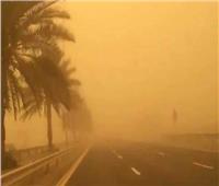«قرش الصحراء» يهدد 12 منطقة في مصر تعرف عليهم