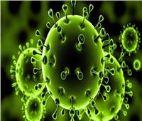  مفاجأة .. «كورونا» 7 فيروسات وسريع الانتشار عبر الهواء .. فيديو 