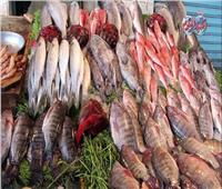 أسعار الأسماك في سوق العبور اليوم 10 أبريل 