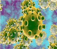 اختبار لا يُصدق.. علماء يلاحقون فيروس كورونا في «الصرف الصحي»