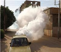 الناموس يهاجم قرى بقنا وإجراءات عاجلة استجابة لشكاوى المواطنين
