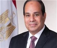 الرئيس السيسي يرد على حملات التشكيك في تنمية سيناء