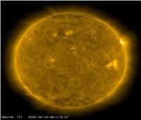 «الدورة الشمسية 25 الجديدة»  تظهر علامات الحياة !!