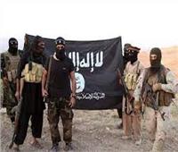 مصدر أمني عراقي : التحالف الدولي سيعاود مهامه لتتبع خلايا تنظيم "داعش " الإرهابي