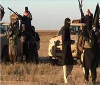 "داعش " يقدم على إضرام النار في مساحات شاسعة من الأراضي الزراعية في "ديالي"
