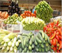ننشر أسعار الخضروات في سوق العبور اليوم ٢٢مايو