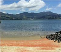 جراد البحر ينتحر ويحول المياه للون الأحمر بنيوزيلندا