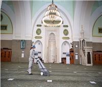 صور| 4077 مسجداً في السعودية استعدت لاستقبال المصلين بعد انقطاع 74 يوماً