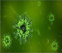 فيديو| أستاذ «علم أوبئة» يكشف مفاجأة جديدة عن فيروس كورونا 