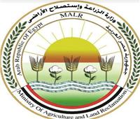  الزراعة تعلن موافقة «اليونيدو» على انضمام مصر رسميا لـ«قطن أفضل»