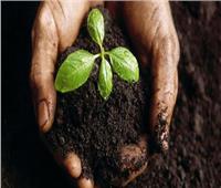 لعشاق زراعة المنزل.. أفضل أنواع «التربة والسماد» ونصائح للري الصحيح