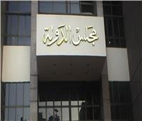٢٩ أغسطس دعوى وقف التصريح لـ«هيومان رايتس» العمل بمصر